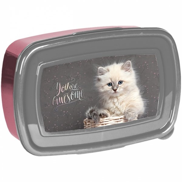 PLECAK KOTY SZKOLNY DLA DZIEWCZYNEK ZESTAW 5 ele DO PODSTAWÓWKI Z KOTKIEM