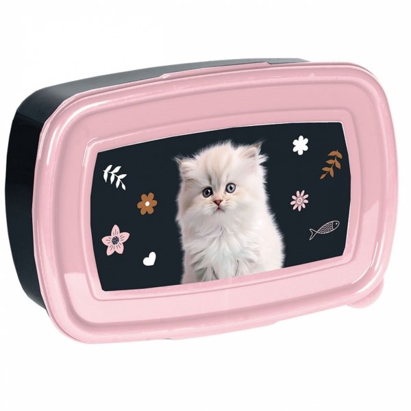 PLECAK KOTEK SZKOLNY KOMPLET 5 ele DZIEWCZĘCY DO PODSTAWÓWKI KOTKI CATS