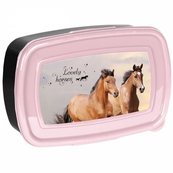 KONIE ŚNIADANIÓWKA KANAPNIK DLA DZIEWCZYNY NA DRUGIE ŚNIADANIE SZKOLNA KOŃ