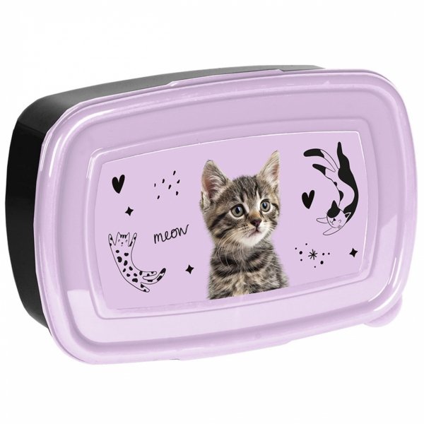 TORNISTER KOT DZIEWCZĘCY SZKOLNY Z KOTEM DO 1 KLASY KOTEK KOMPLET 5w1 CATS