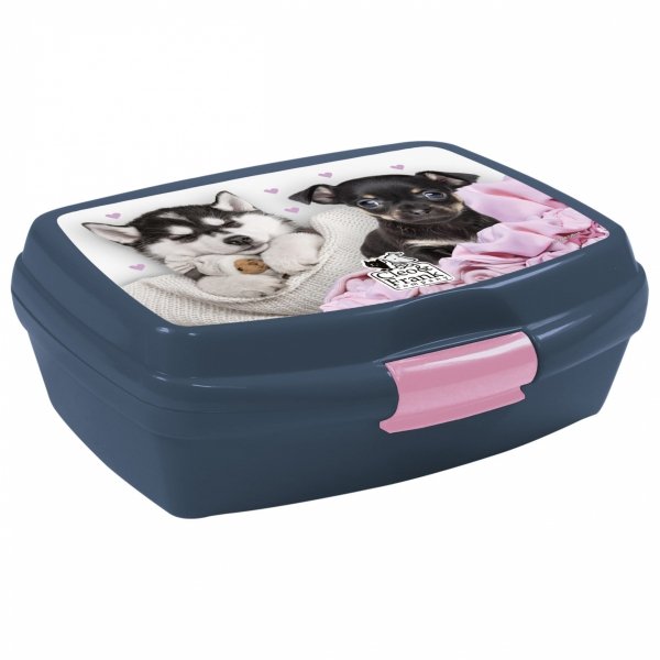 KOMPLET 5el DERFORM PLECAK Z PIESKAMI DLA UCZENNICY SZKOLNY PIESEK