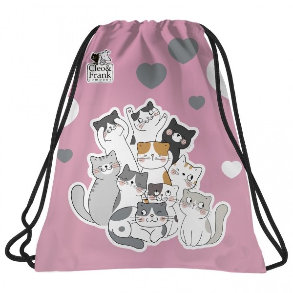 Plecak z Kotkami dla dzieci w wieku szkolnym zestaw 3ele [PL15BCF39]