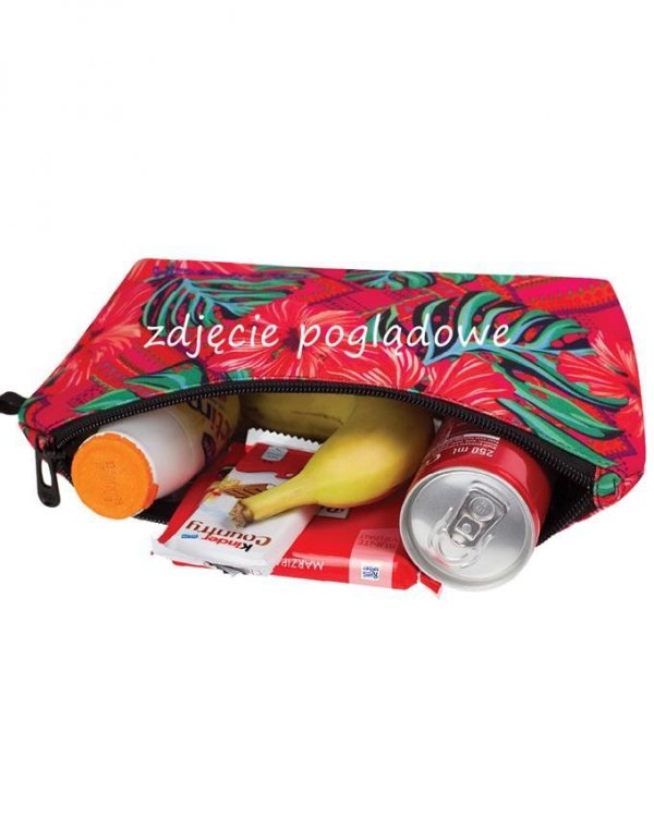 Młodzieżowy Plecak Cp CoolPack Cats z Kotkami dla Dziewczyny [B25046]