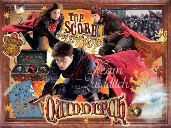 Winning Moves Puzzle Harry Potter Quidditch 1000 elementów