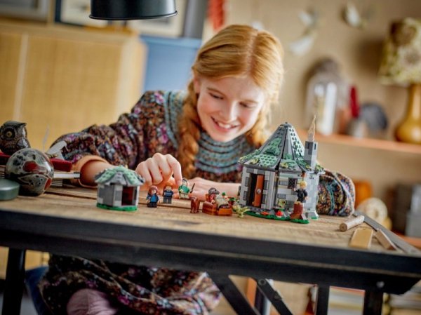 LEGO Klocki Harry Potter 76428 Chatka Hagrida: niespodziewana wizyta