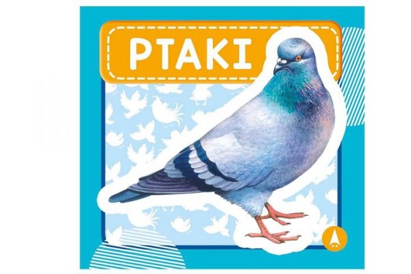 SKRZAT-WYDAWNICTWO Ptaki 75953 