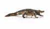 SCHLEICH ALIGATOR KROKODYL WILD LIFE 14727 3+