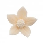 Płomyk ecru 10 szt.