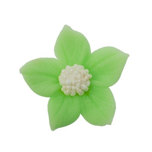 Płomyk seledynowy 10 szt.