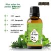 Natural Peppermint Essential Oil, Indus Valley, 15ml