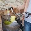 RIG-TIG by Stelton DRINK-IT Butelka do Wody 750 ml Żółta
