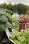RIG-TIG by Stelton DRINK-IT Butelka do Wody 750 ml Szara