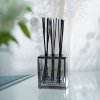 Esteban PARIS Dyfuzor Zapachowy z Patyczkami Triptyque 250ml / Zapach Cedre