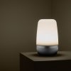 Blomus SPIRIT Lampion LED - L - Moonbeam