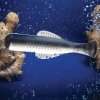 Alessi BOGA Stalowa Tarka do Imbiru