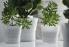 Holmegaard Flower Pot - Doniczka Biała Paski 14 cm