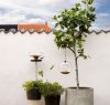 Eva Solo BIRD FEEDER Karmnik dla Ptaków Stożkowy - Stojący