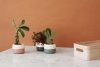 RIG-TIG by Stelton PLANT-IT Doniczka - Różowa Misty Rose