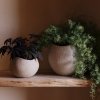 Audo PLANTS Doniczka do Kwiatów 24 cm / Ivory