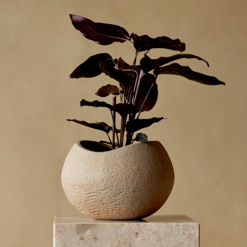 Audo PLANTS Doniczka do Kwiatów 32 cm / Ivory