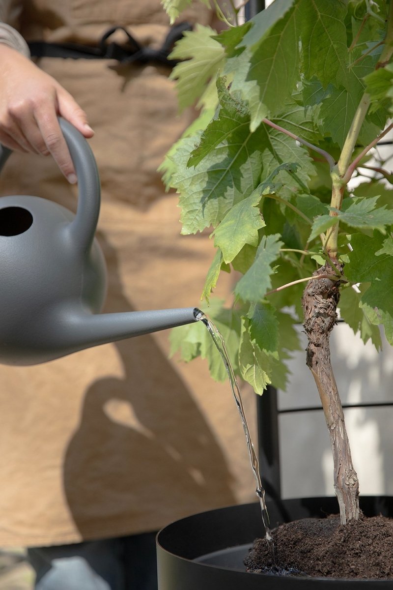 Nowoczesna podpórka ogrodowa Eva Solo Simply Grow 145 cm