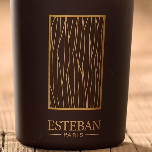 Esteban PARIS Dyfuzor Zapachowy z Patyczkami 100 ml Ceramiczna Butelka / Zapach Cedre