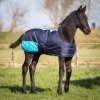 Derka dla źrebaka Harry's Horse 65 cm