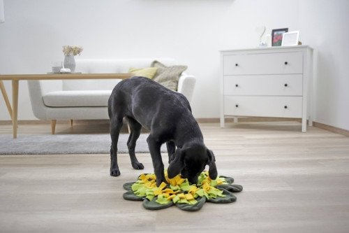 Mata węchowa dla psa Sunflower, Ø 60 cm, Kerbl