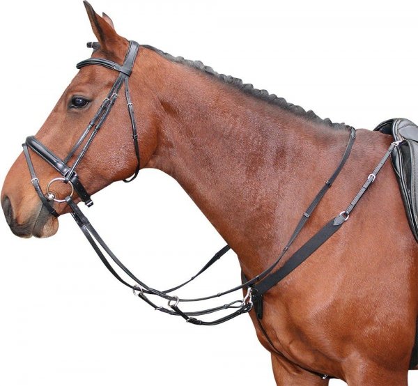 Napierśnik z wytokiem Harry's Horse &quot;Elastic&quot;
