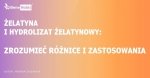 Żelatyna i hydrolizat żelatynowy: zrozumieć różnice i zastosowania