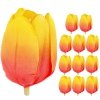 Główki Tulipan 12szt Żółty-Pomarańcz [ 5 Kompletów ]