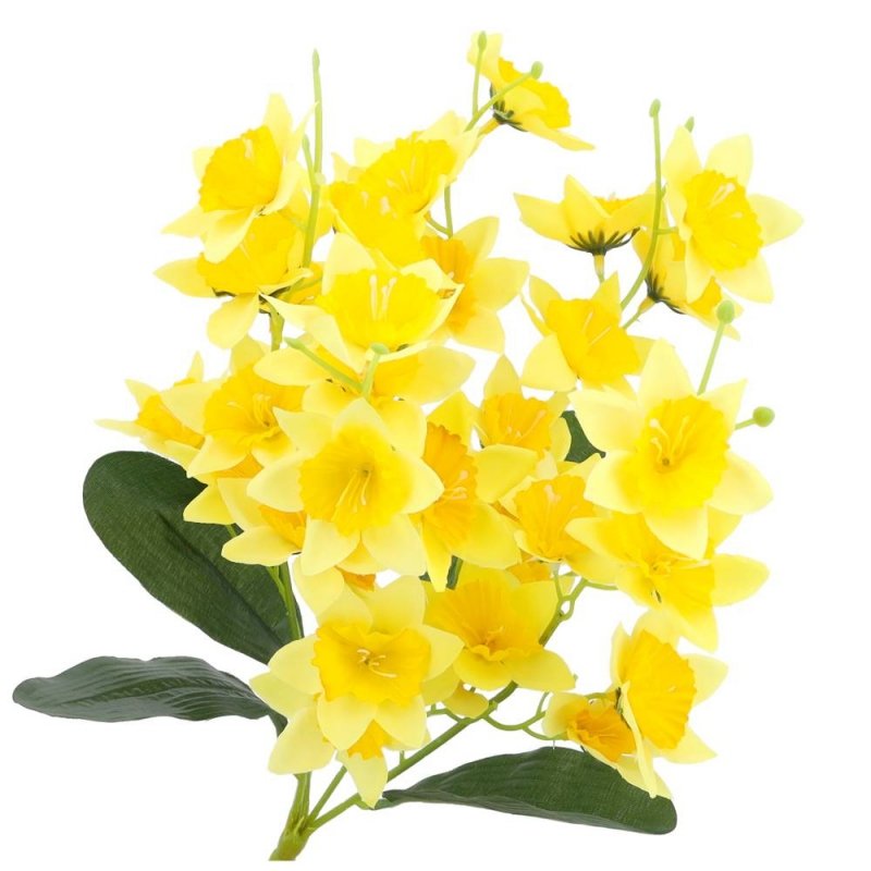 Żonkile Żółte Bukiet Kwiatów I Liści [ 5 Sztuk ]