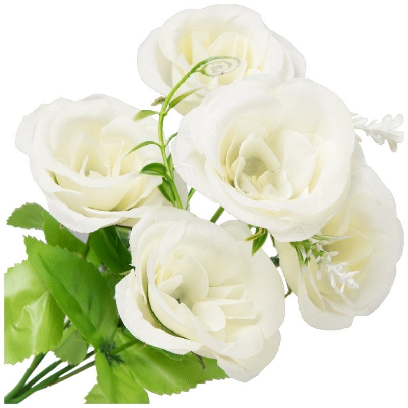 Bukiet Peonia Ecru [ 100szt ]