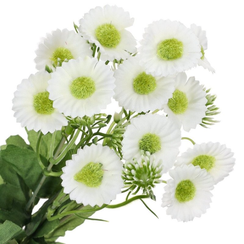 Bukiet Stokrotka Białe Kwiatki [ 20szt ]
