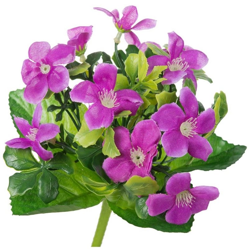 Bukiet Fioletowych Kwiatów Duże Liście [ 100szt ]