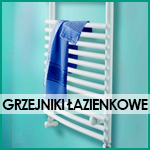 Fox Busko-Zdrój