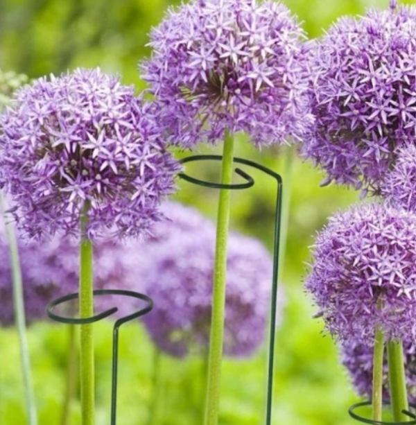 PODPORA PODPÓRKA fi6 60 cm DO ROŚLIN KWIATÓW Stroczyków