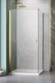 Radaway Nes Kdj I Brushed Gold kabina 100x90cm lewa szczotkowane złoto 10022100-99-01L/10039090-01-01
