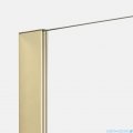 New Trendy Nesta Light Gold kabina Walk-In 70x200 cm złoty połysk K-1730