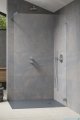 Radaway Essenza Pro Brushed Nickel 100x200 kabina Walk-in szczotkowany nikiel 10103100-91-01 