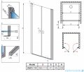 Radaway Nes Brushed Nickel DWD I drzwi wnękowe 110cm szczotkowany nikiel szkło przejrzyste 10027110-91-01