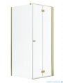 Radaway Nes Gold Kdj B kabina 100x90cm prawa złoty połysk 10025100-09-01R/10039090-01-01