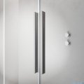 Radaway Furo SL Brushed Nickel kabina Walk-in 100x200cm prawa szczotkowany nikiel 10306538-91-01R/10110494-01-01