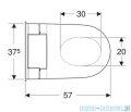 Geberit urządzenie WC z funkcją higieny intymnej AquaClean Tuma Comfort, wisząca miska WC biała/szkło białe 146.292.SI.1