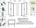 Radaway Nes Black DWD+S kabina 100x75cm czarny mat/szkło przejrzyste 10034100-54-01/10040075-54-01
