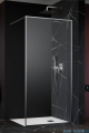 Radaway Modo F II Brushed Nickel kabina Walk-in 55x201cm Szczotkowany Nikiel szkło przejrzyste 10409055-91-01