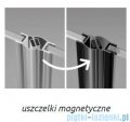 Radaway Idea 8 QL Black Kdd kabina 120x80cm szkło przejrzyste 10590120-54-01L/10590080-54-01R