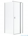 Radaway Nes Kdj II Brushed Nickel kabina 80x100cm prawa szczotkowany nikiel 10032080-91-01R/10039100-01-01