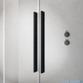 Radaway Furo Black DWD drzwi prysznicowe 130cm szkło przejrzyste 10108363-54-01/10111317-01-01
