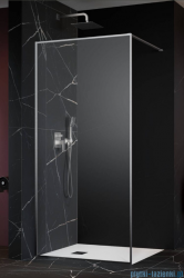Radaway Modo F II Brushed Nickel kabina Walk-in 120x201cm Szczotkowany Nikiel szkło przejrzyste 10409124-91-01